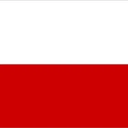 Mecz towarzyski Polska vs Litwa