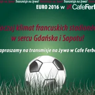 Mecz Polska - Irlandia Północna Euro2016