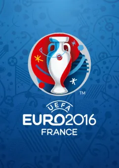 C Group Euro UEFA 2016 - Polska-Irlandia