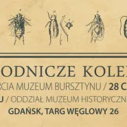Gdańskie przyrodnicze kolekcje bursztynu