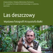 Las deszczowy - wystawa fotografii Krzysztofa Bałki