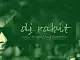Niedziela w absyncie: Rabit (indie, britpop, disco, elektronic)