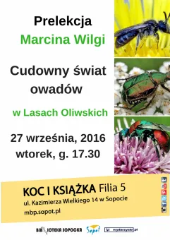 Cudowny świat owadów w Lasach Oliwskich - spotkanie z przyrodnikiem Marcinem Wilgą