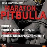 Enemef: Maraton Pitbulla