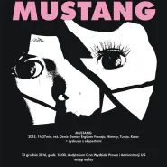 Kino pod Paragrafrem: Mustang