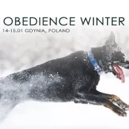 RAUKI Obedience Winter Cup 2017
