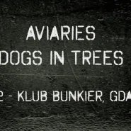Aviaries | Dogs in Trees