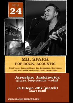 Mr. Spark - Acoustic Pop-Rock - Live Music