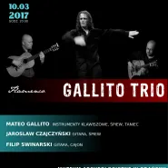 Koncert Flamenco Gallito Trio