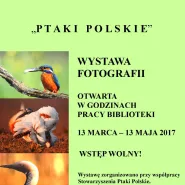 Ptaki polskie
