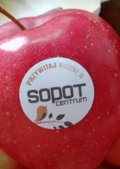 Wiosna z Sopot Centrum