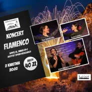 Koncert flamenco: taniec, gitara i śpiew
