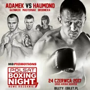 Polsat Boxing Night