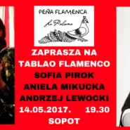 Koncert Flamenco 