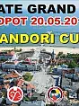 Grand Prix Sopot - Randori Cup