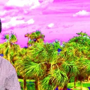 Alexis Gideon, Shelley Short - Koncert Odwołany