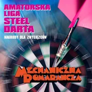 Amatorska Liga Steel Dart 