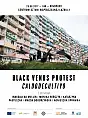 Black Venus Protest