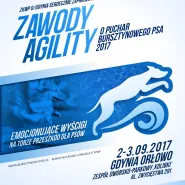 Zawody Agility o Puchar Bursztynowego Psa 2017
