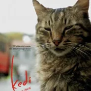 Kino Konesera - Kedi - Sekretne życie kotów