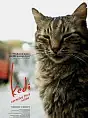  Kedi - Sekretne życie kotów
