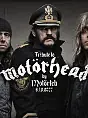 Tribute to Motörhead by Motörłeb