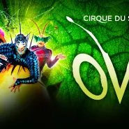 Cirque du Soleil: OVO