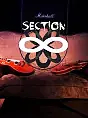 Section8