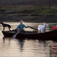 Kino rosyjskie: Podróż ze zwierzętami domowymi