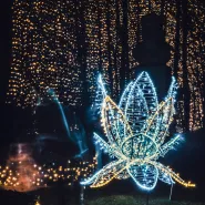 Odpalamy święta - iluminacja w Parku Oliwskim