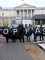 Faszyzm stop!