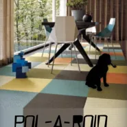 Pol a Roid - Muzyka, którą lubi mój pies