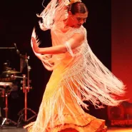 Companiaa Flamenca. Los Payos