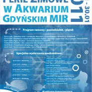 Legendarne ferie zimowe w Akwarium Gdyńskim MIR