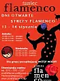 Dni otwarte w Strefie Flamenco