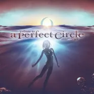 Tribute to A Perfect Circle