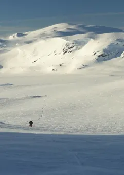 Kilometry: Zimowe przejście przez płaskowyż w Norwegii
