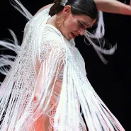 Compania Flamenca Los Payos