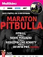 ENEMEF: Maraton Pitbulla