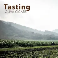 Tasting Oliva Cigars
