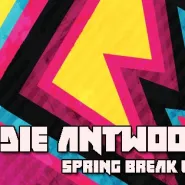 Die Antwoord Night / Spring Break