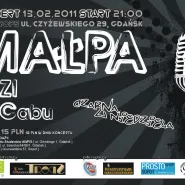 Małpa