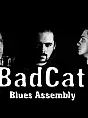 BadCat Blues Assembly