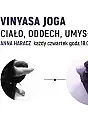 Vinyasa Joga
