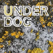 Muzyczne Lato Vol. 3 - Underdog