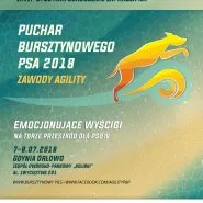 I i II Zawody Agility Pucharu Bursztynowego Psa 2018