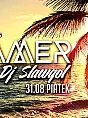 Summer Vibes - DJ Slawgol