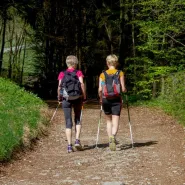 Trening Nordic-Walking. Cztery Pory Roku z Kijami