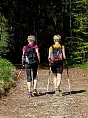Trening Nordic-Walking