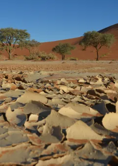 Zmysłowa Afryka, czyli 4000 km przez Namibię